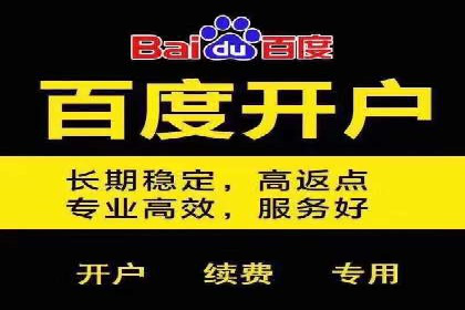 SEM专员的角色与成功案例解析